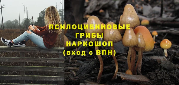 первитин Балахна